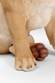 Nahaufnahme der Pfoten einer Deko-Figur eines Hundes, die detaillierte Fellstruktur und die Vorderansicht der Figur zeigend.