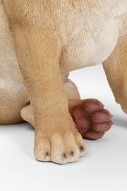 Nahaufnahme der Pfoten einer Deko-Figur eines Hundes, die detaillierte Fellstruktur und die Vorderansicht der Figur zeigend.