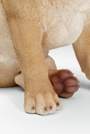 Nahaufnahme der Pfoten einer Deko-Figur eines Hundes, die detaillierte Fellstruktur und die Vorderansicht der Figur zeigend.