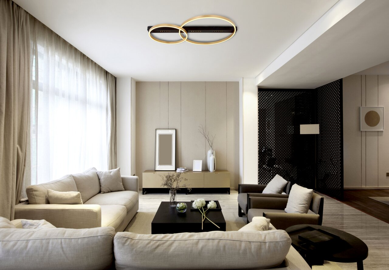 Moderne Deckenleuchte mit zwei ineinander verschlungenen Ringen in einem stilvollen Wohnzimmer, von unten betrachtet.