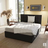 Modernes Schlafzimmer mit einem eleganten, schwarzen Bett und einem Spessarttraum Kissen GOLD in der Größe 80x80cm, seitliche Perspektive.