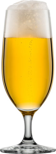 Biertulpe mit Schaumkrone, gefüllt mit goldenem Bier, seitliche Perspektive