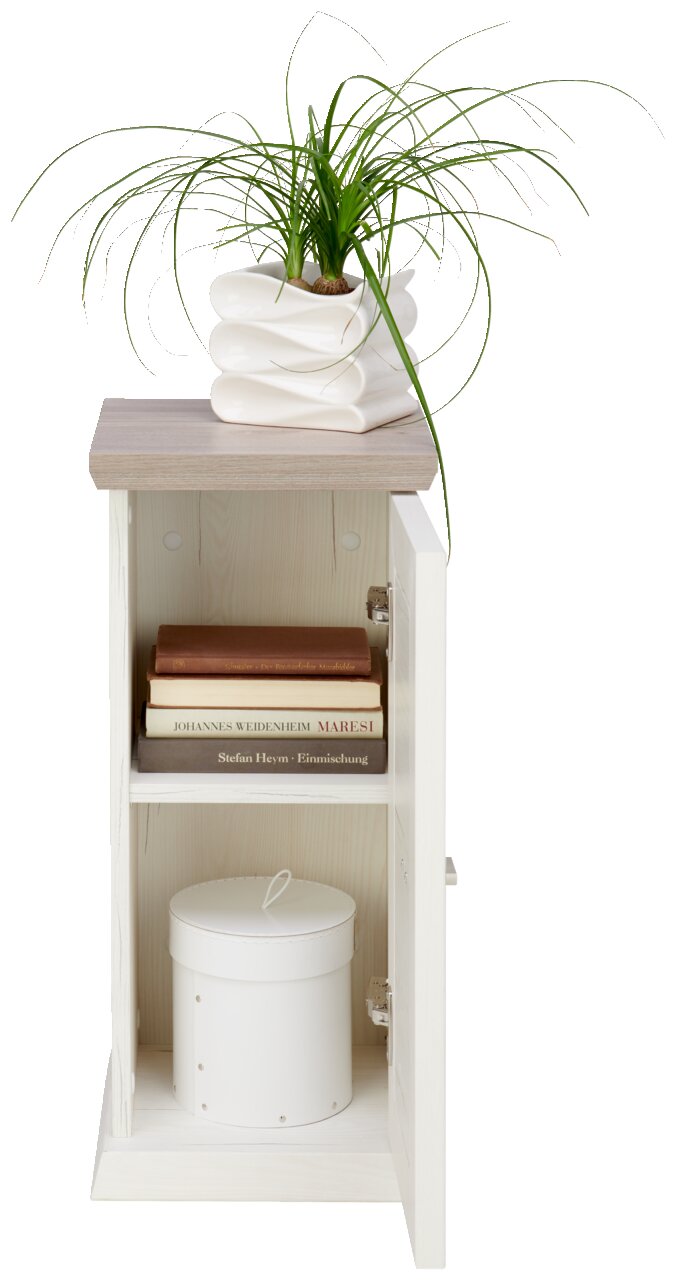 Bijzettafel met één deur, met daarop een moderne witte vaas met een plant, boeken en een ronde doos erin. Vooraanzicht.