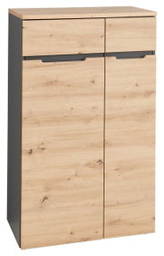 Moderner, niedriger Aktenschrank aus Holz mit zwei Schubladen und zwei Türen, Frontansicht