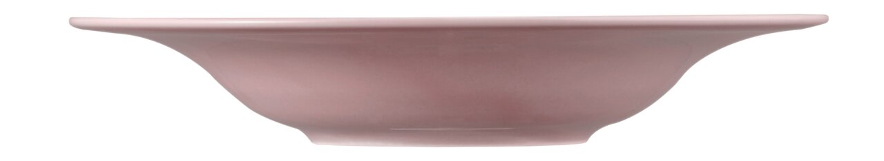 Seitenansicht eines rosa Pasta- und Salattellers mit einem Durchmesser von 27,5 cm