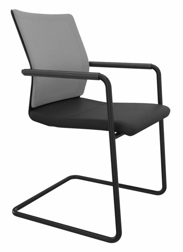 Dauphin Freischwinger STILO Moderner Freischwinger-Stuhl mit schwarzem Gestell und grauer Rückenlehne, seitliche Perspektive