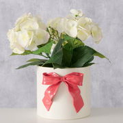 Porzellan-Übertopf mit roter Schleife und weißen Blumen, Frontalansicht