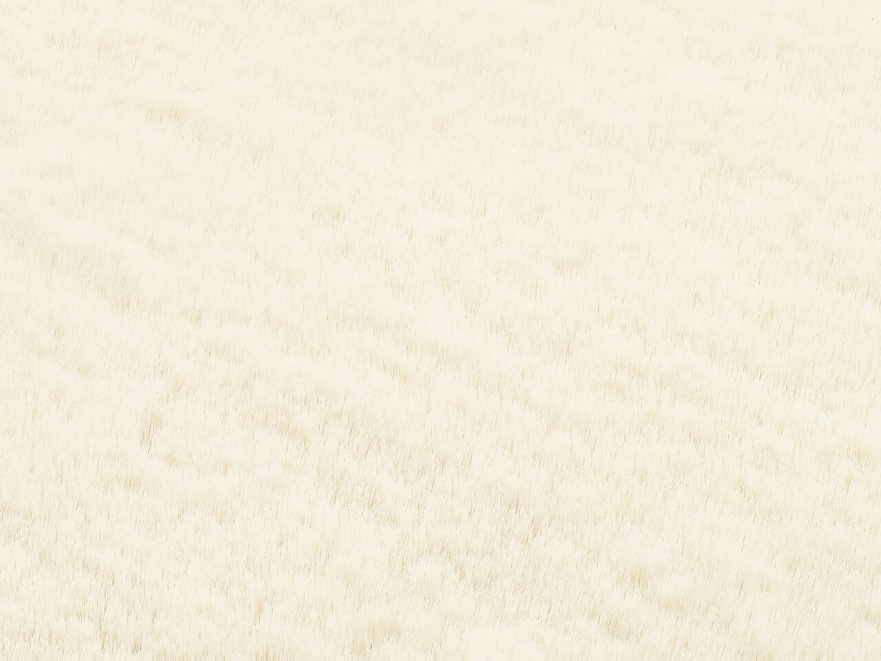 Nahaufnahme eines cremefarbenen Fellteppichs mit weicher Textur