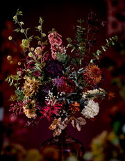 Üppiges, kunstvoll arrangiertes Blumenbouquet in Bordeauxrot, Pink, Violett, Creme und Orange mit Eukalyptus in einer dunkelroten Glasvase, frontal aus leichter Untersicht vor stimmungsvoll bordeauxfarbenem Hintergrund fotografiert