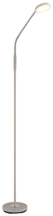 Beige LED-Stehlampe mit rundem Leuchtenkopf und flexiblem Schwanenhals auf rundem Standfuß, freigestellt auf Weiß, Frontansicht