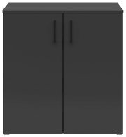 Schwarze Kommode mit zwei Türen, frontale Ansicht