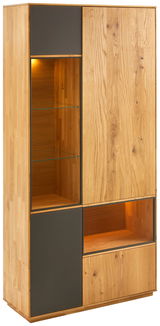 Vitrine 2-türig aus Holz mit Glasregalen und dunklen Akzenten, seitliche Perspektive