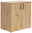 Carryhome Kommode MULTISTAURAUM Kommode aus hellem Holz mit zwei Türen und schwarzen Griffen, seitliche Perspektive