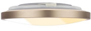 Ronde LED plafondlamp met mat wit diffuus licht en geborsteld metalen rand, zijaanzicht van onderaf