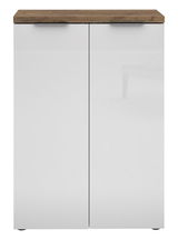 Moderner, niedriger Aktenschrank mit zwei weißen Türen und einer Holzoberfläche, Frontalansicht