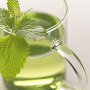 Nahaufnahme eines Teeglases Novo 360ml mit grünem Tee und frischen Minzblättern, seitliche Perspektive