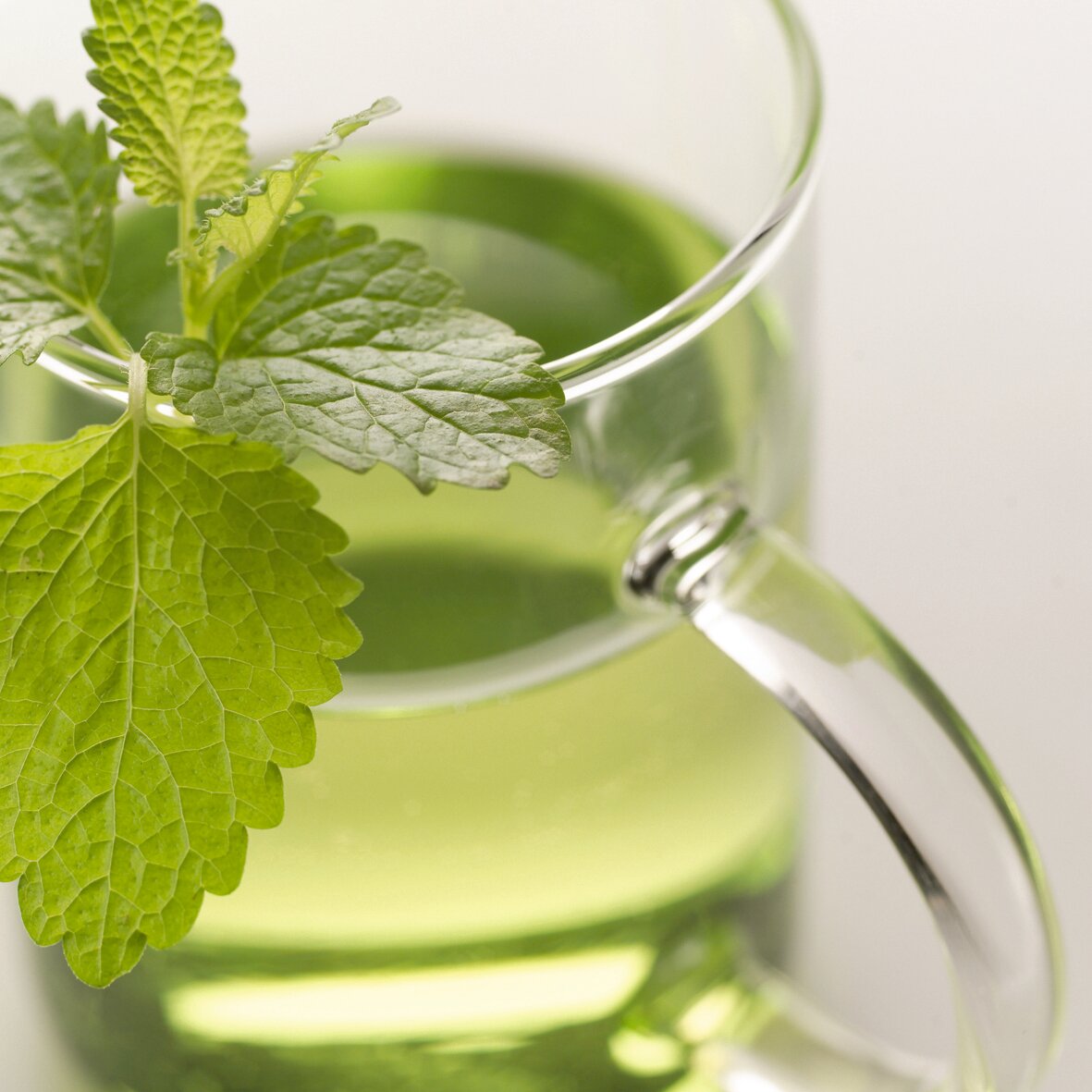 Close-up van een Novo-theeglas van 360 ml met groene thee en verse muntblaadjes, gezien vanaf de zijkant