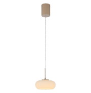 Moderne hanglamp met een ovale, opaalwitte glazen kap en een metalen ophanging aan een lange kabel tegen een grijze achtergrond, gezien van voren