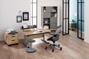 Moderner Schreibtisch in einem stilvollen Büro mit Holz- und Metallelementen, umgeben von einem ergonomischen Stuhl und einem Rollcontainer, aus der Frontalperspektive betrachtet.