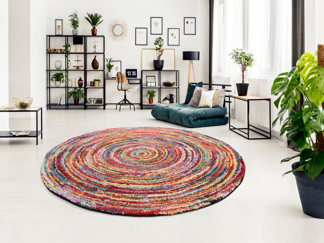 Bunter, runder Teppich in einem modernen Wohnzimmer mit Pflanzen und Regalen, aus der Vogelperspektive fotografiert.