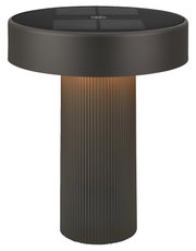 Zwarte tuinlamp op zonne-energie met ronde kop en geribbelde cilindrische voet, vooraanzicht vanuit een licht verhoogd perspectief tegen een witte achtergrond
