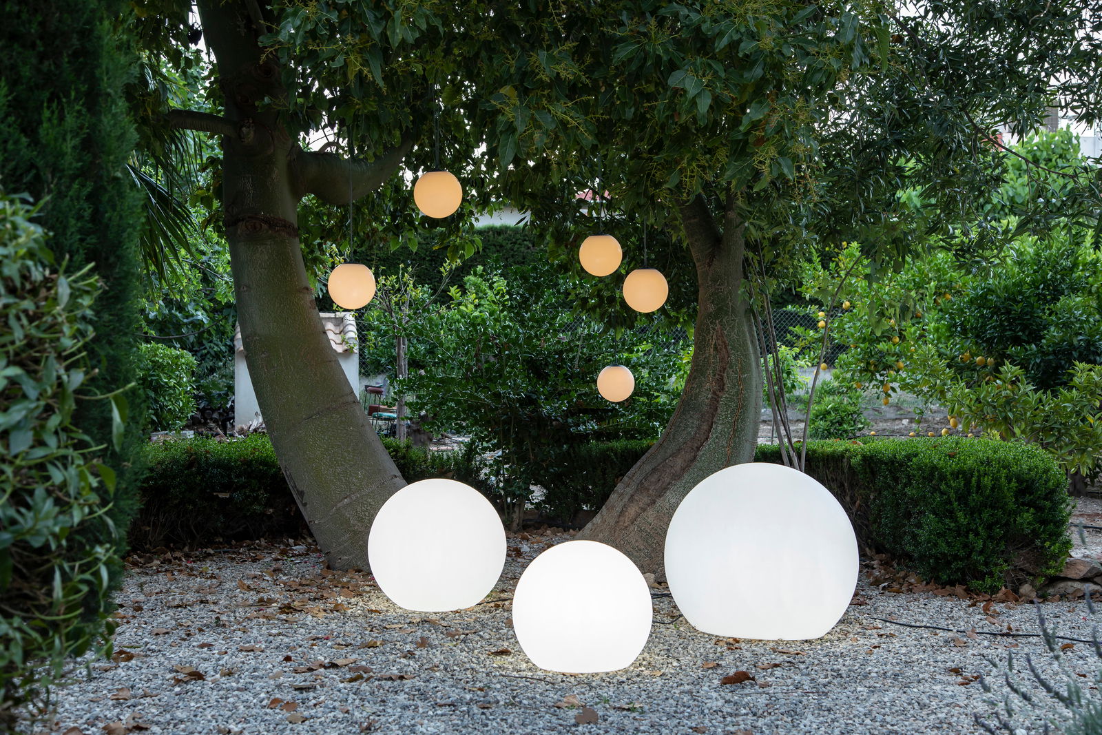 Kugelleuchten BULY 50 in einem Garten, auf dem Boden und hängend an Bäumen, bei Dämmerung aus der Perspektive von vorne betrachtet.
