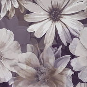 Nahaufnahme einer Wendebettwäsche mit floralem Muster in sanften Lila- und Beigetönen, von oben betrachtet.