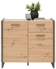 Holzkommode mit zwei Türen und einer Schublade, dekoriert mit einer Pflanze und Büchern, Frontalansicht