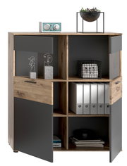 Vitrine aus Holz mit grauen Türen, dekoriert mit Radio und Pflanze, frontale Ansicht