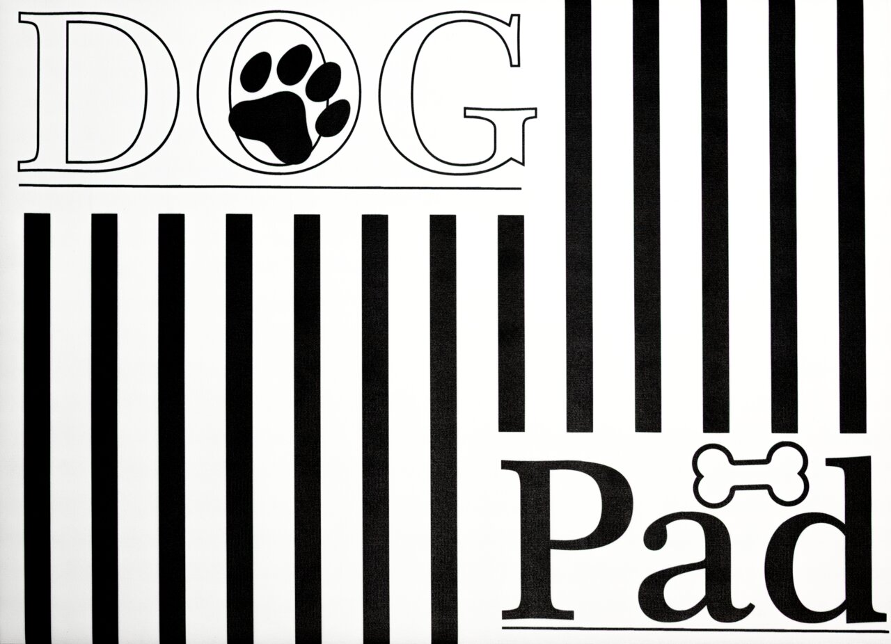 Fressnapfunterlage mit der Aufschrift 'DOG' und 'Pad', dekoriert mit einem Pfotenabdruck und einem Knochenmotiv, aus der Vogelperspektive.