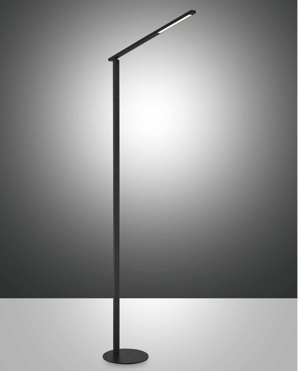 Schwarze Stehleuchte in modernem Design, seitliche Perspektive