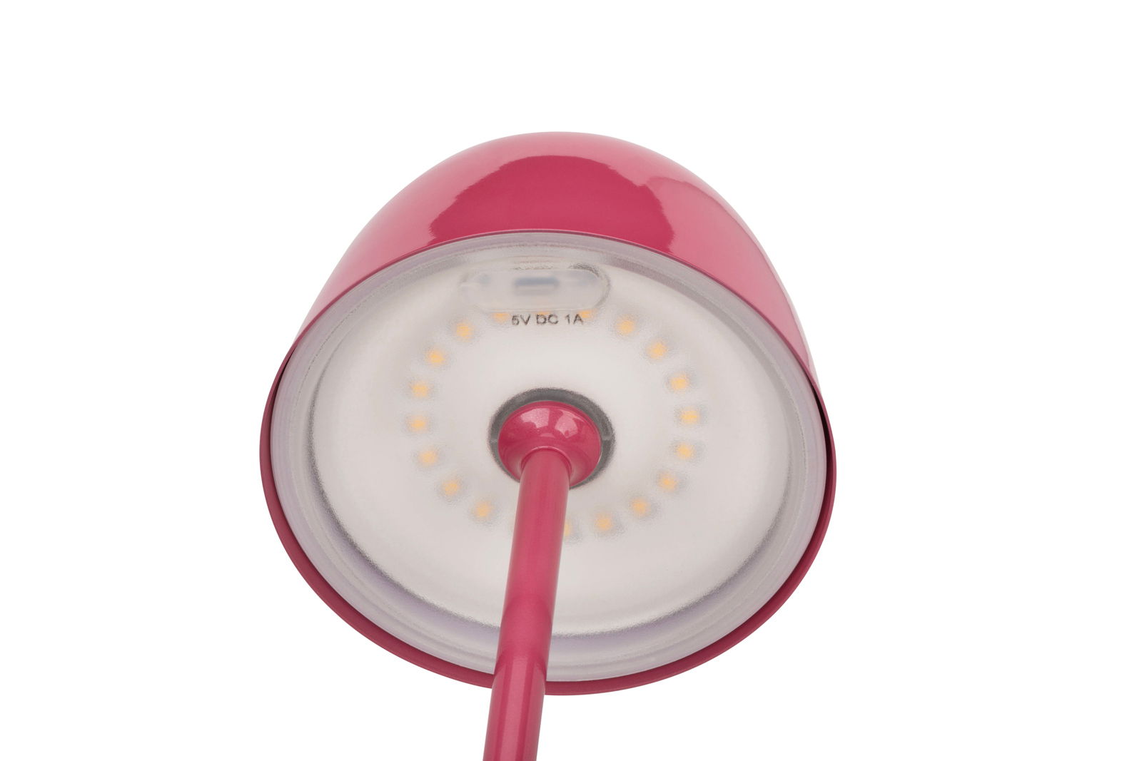 Unteransicht einer pinken Akku-Tischleuchte mit LED-Lichtern.