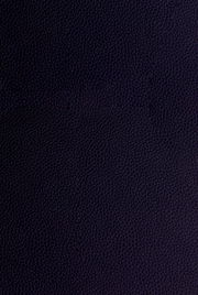 Nahaufnahme der dunkelblauen Lederstruktur einer Sitzbank von Dieter Knoll, Modell PABLO.