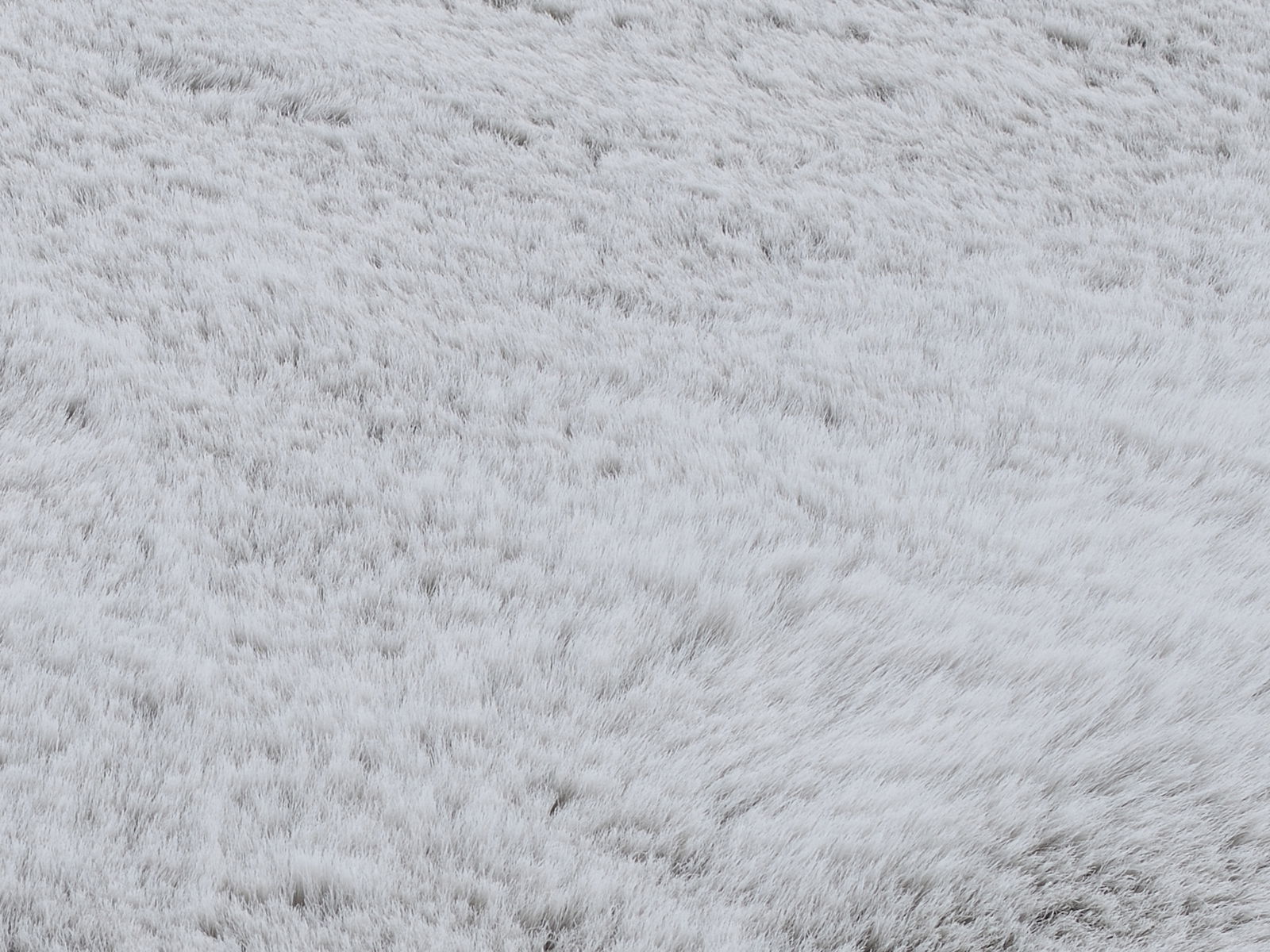 Nahaufnahme eines weichen, weißen Fellteppichs aus der Vogelperspektive.