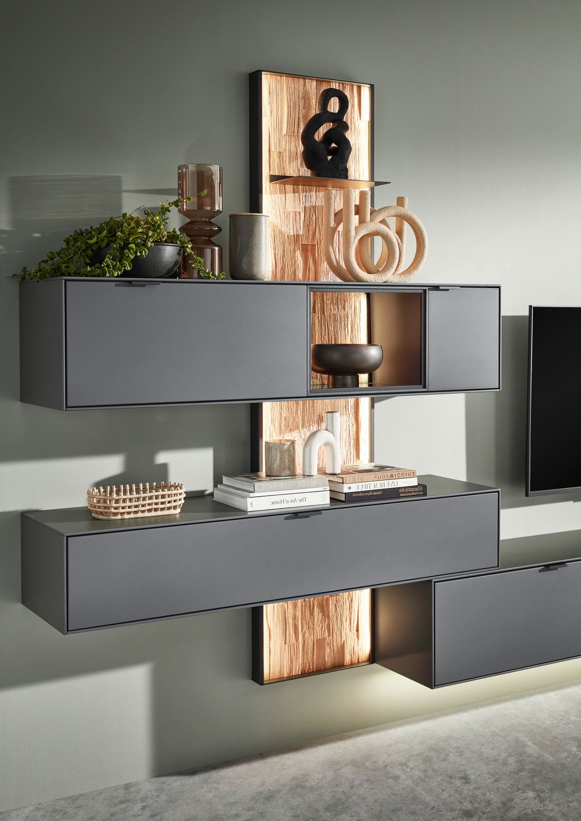 Moderne Wandkombination in dunklem Grau mit dekorativen Elementen und Pflanzen, seitliche Perspektive