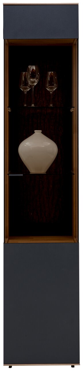 Vitrine mit Gläsern und Vase, Frontalansicht