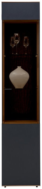 Vitrine mit Gläsern und Vase, Frontalansicht