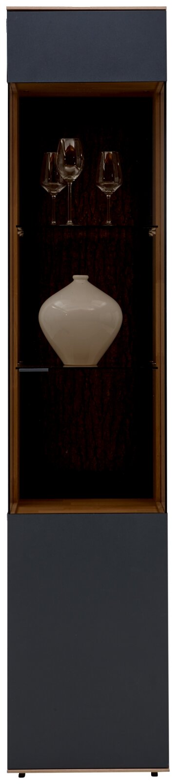 Vitrine mit Gläsern und Vase, Frontalansicht