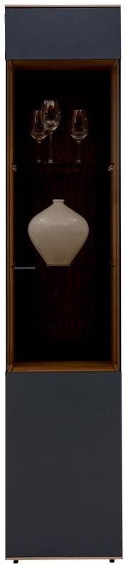 Vitrine mit Gläsern und Vase, Frontalansicht