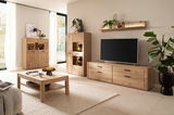 Wohnzimmer mit modernen Holzmöbeln, darunter ein TV-Element, ein Highboard und ein Wandboard, aus hellem Holz. Perspektive von vorne.