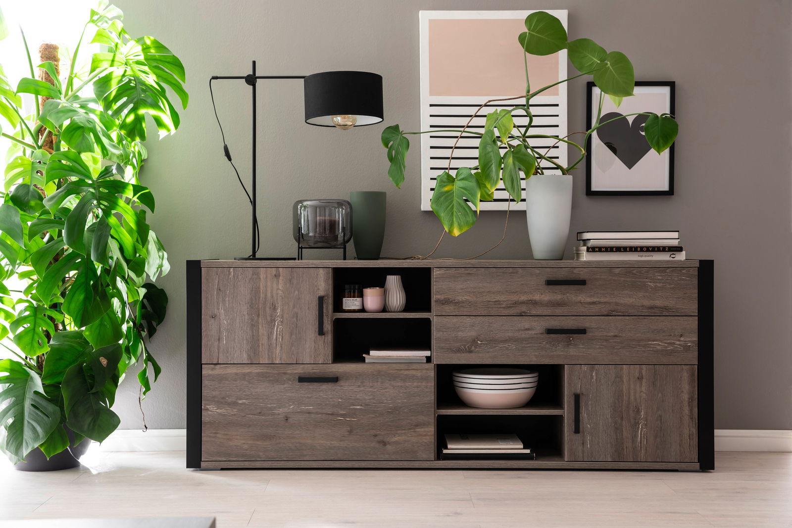 Frontale Ansicht eines modernen Sideboards aus dunklem Holz mit mehreren Schubladen und offenen Fächern, dekoriert mit Pflanzen, einer Lampe und Büchern.