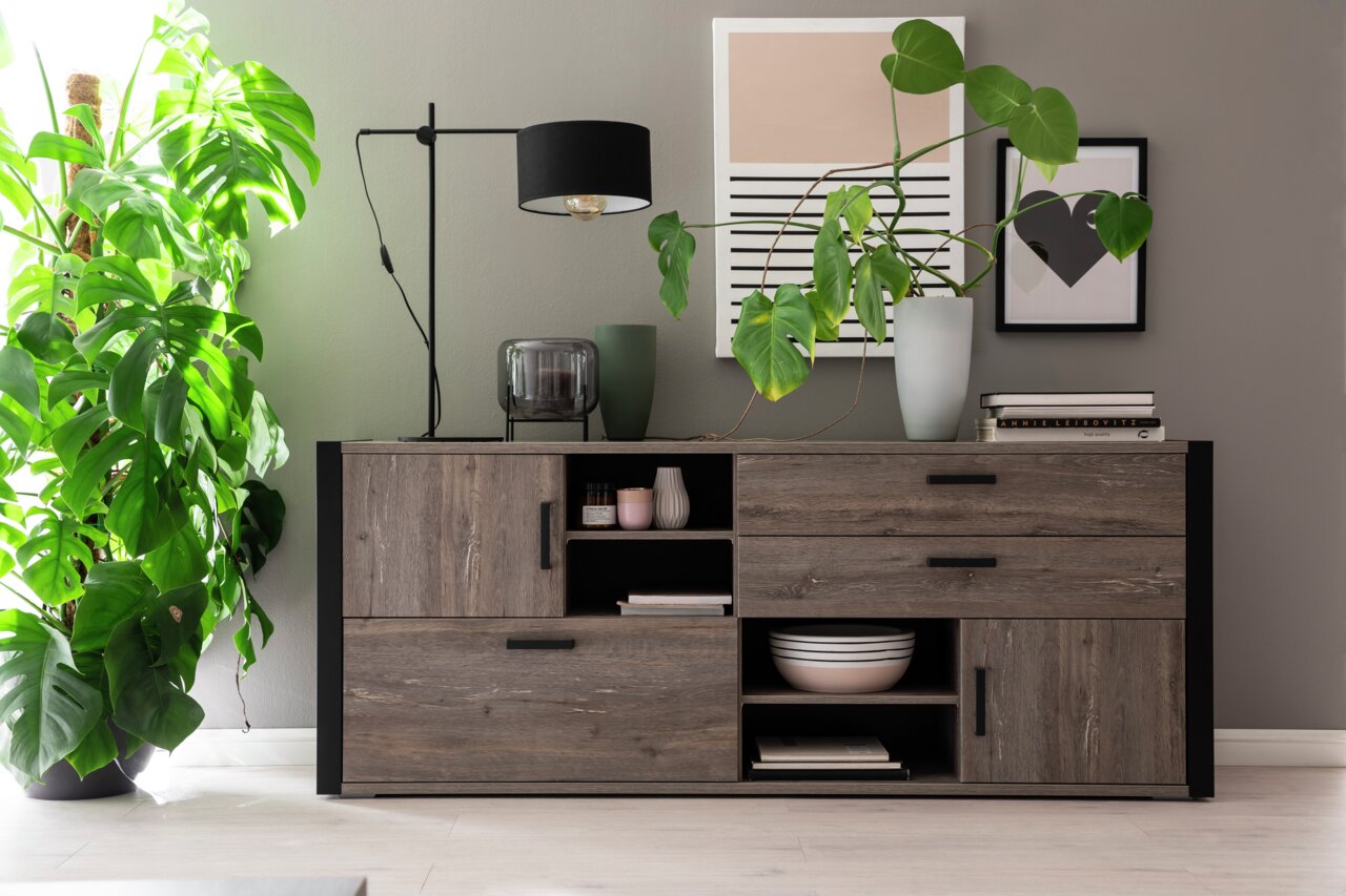 Frontale Ansicht eines modernen Sideboards aus dunklem Holz mit mehreren Schubladen und offenen Fächern, dekoriert mit Pflanzen, einer Lampe und Büchern.