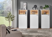 Drie moderne hoge vitrinekasten in wit met houten details, versierd met planten en kunstvoorwerpen, in een stijlvolle woonkamer met uitzicht op de tuin.