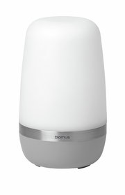 LED-Outdoorleuchte SPIRIT in zylindrischer Form mit weißem Diffusor und silbernem Sockel, Frontalansicht