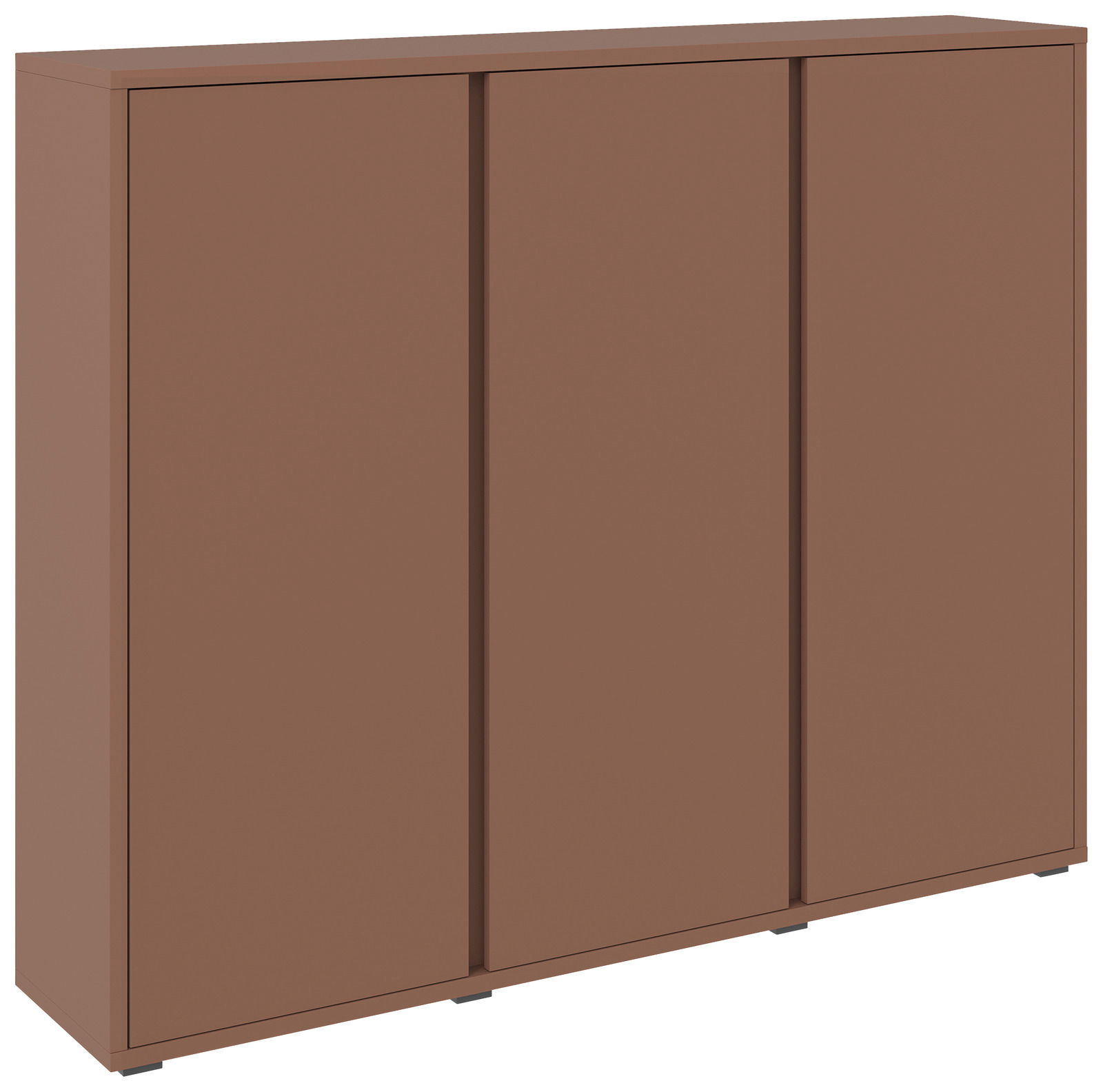 Brauner Schuhschrank mit drei Türen, Frontalansicht