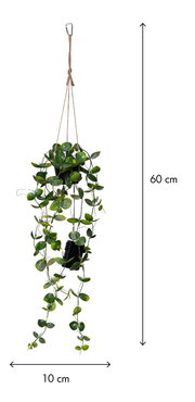 Hängende Kunstpflanze mit grünen Ranken in schwarzem Topf, an Juteschnur mit Karabinerhaken, ca. 60 cm lang und 10 cm breit, freigestellt in Frontalansicht.