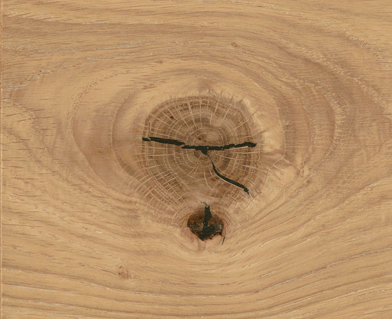 Nahaufnahme einer Holzoberfläche mit markanter Maserung und Astloch.