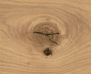 Nahaufnahme einer Holzoberfläche mit markanter Maserung und Astloch.