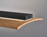 Moderne Pendelleuchte mit schwarzem Gehäuse und Holzdetail, seitliche Perspektive