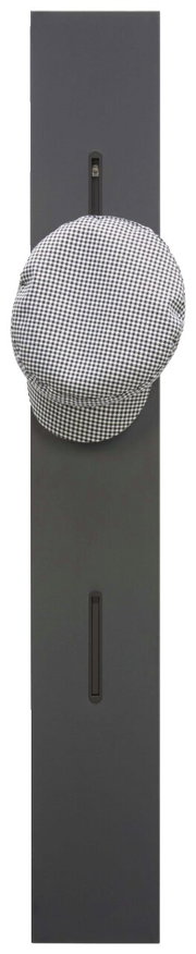 Garderobenpaneel in dunkler Farbe mit Haken, frontal abgebildet, mit einer karierten Mütze darauf.